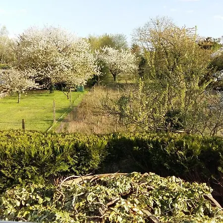 Authentique 1950 Futuroscope Aquascope, 1a9prsn, 3 Pkg, 3 Etoiles A 6prsn Et 3 Appoints Eco-responsable *