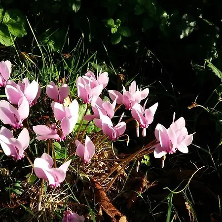 Authentique 1950 Futuroscope Aquascope, 1a9prsn, 3 Pkg, 3 Etoiles A 6prsn Et 3 Appoints Eco-responsable Dom wakacyjny Poitiers