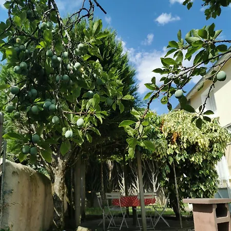 Authentique 1950 Futuroscope Aquascope, 1a9prsn, 3 Pkg, 3 Etoiles A 6prsn Et 3 Appoints Eco-responsable * Poitiers