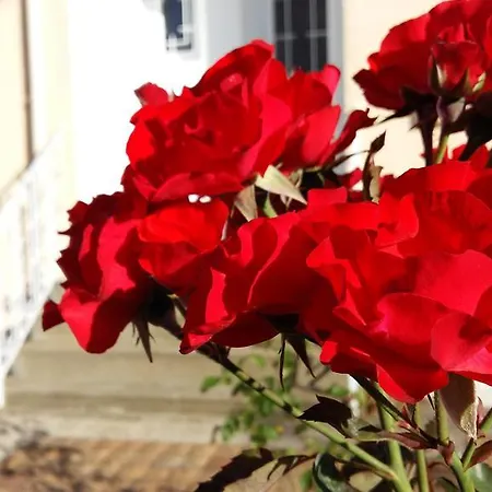 Authentique 1950 Futuroscope Aquascope, 1a9prsn, 3 Pkg, 3 Etoiles A 6prsn Et 3 Appoints Eco-responsable Dom wakacyjny