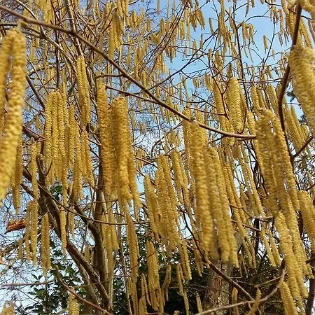 Authentique 1950 Futuroscope Aquascope, 1a9prsn, 3 Pkg, 3 Etoiles A 6prsn Et 3 Appoints Eco-responsable * Poitiers