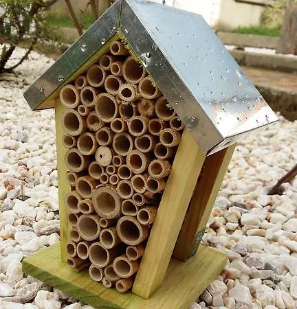 Dom wakacyjny Authentique 1950 Futuroscope Aquascope, 1a9prsn, 3 Pkg, 3 Etoiles A 6prsn Et 3 Appoints Eco-responsable Poitiers